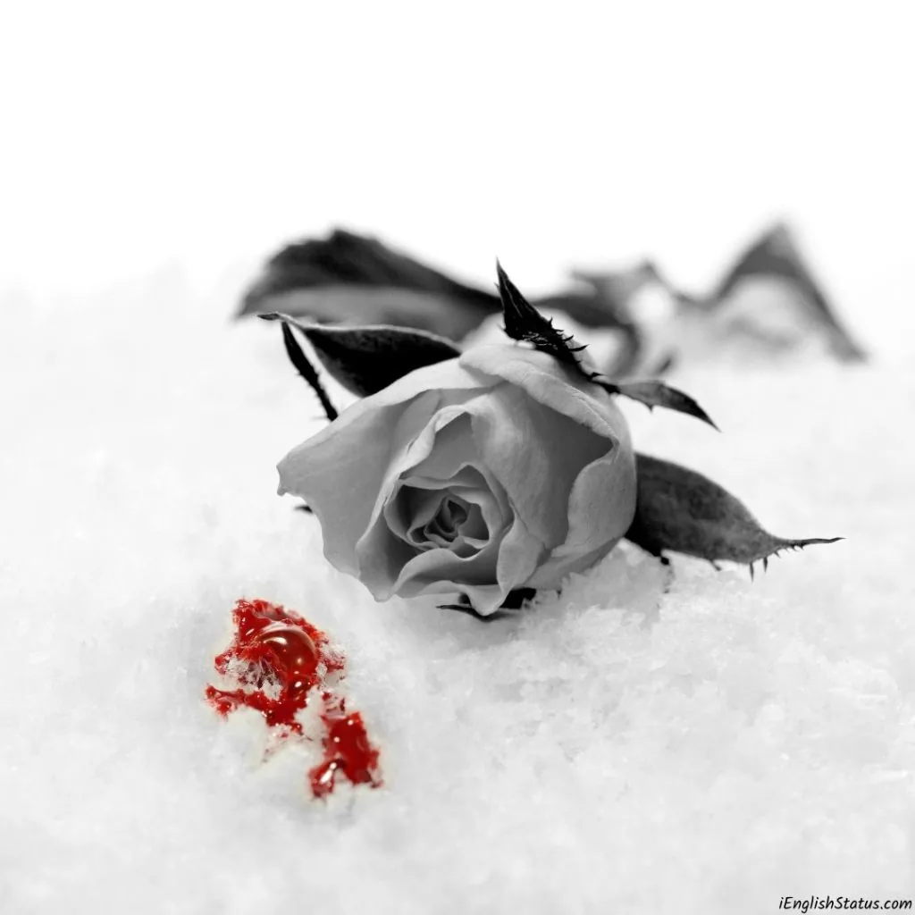 Sad Love DP Pic – Sad WhatsApp DP