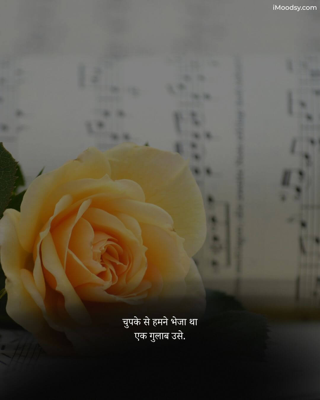Instagram Love Status in Hindi